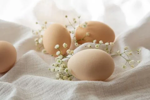 Chicken eggs on white background, selective focus. Happy easter background. Stock-Fotos
