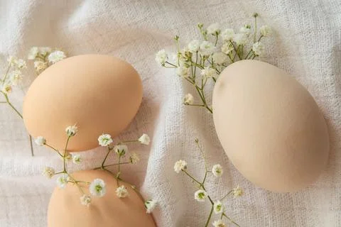 Chicken eggs on white background, selective focus. Happy easter background. Foto stock