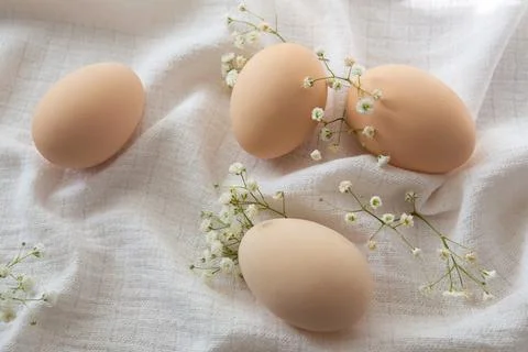 Chicken eggs on white background, selective focus. Happy easter background. Stock Photos