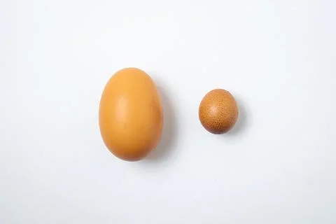 Chicken eggs on a white background. A small egg next to a large egg.  Stock Photos