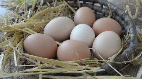 Chicken eggs in the wicker basket Stock Footage 43803298