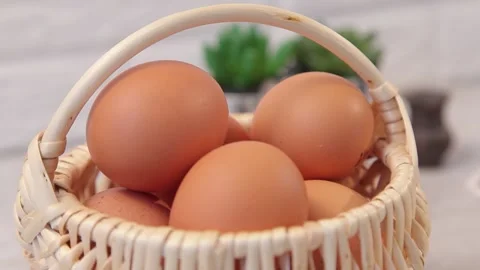 CHICKEN EGGS3 Stock Footage 155411667