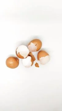 Chicken eggshell Stock Photos