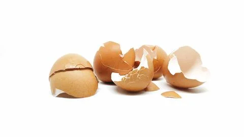 Chicken eggshell Stock Photos