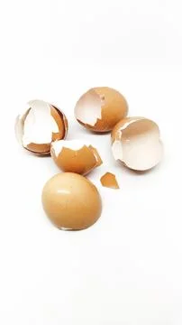 Chicken eggshell Stock Photos
