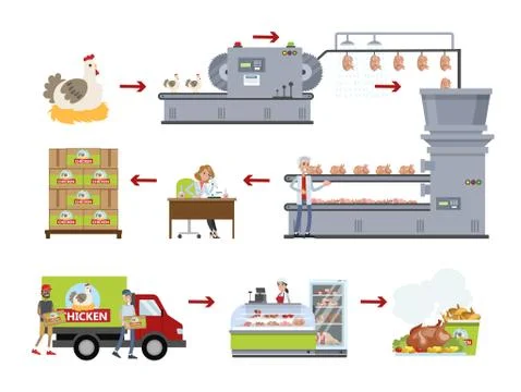 Chicken factory set. Stock Illustration