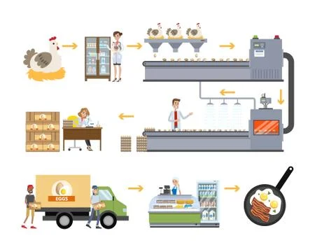 Chicken factory set. Stock Illustration
