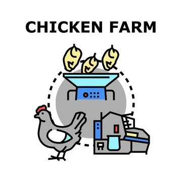 Chicken farm production process with poultry and eggs Stock Illustration