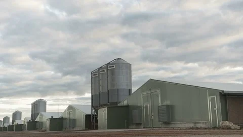 Chicken farm with Silos time-lapse Vidéo 69769319