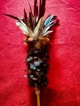 Chicken feather duster Stock Photos