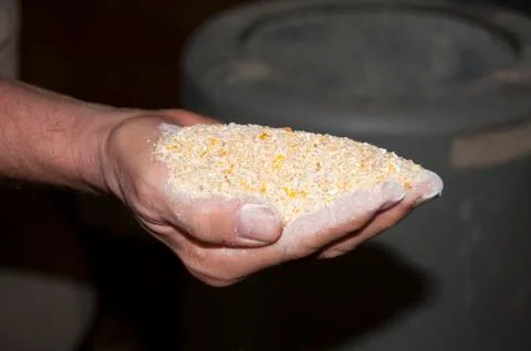 Chicken feed Stock Photos