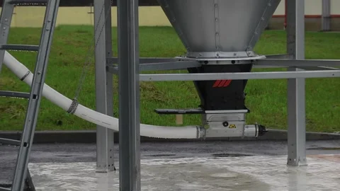 Chicken feed storage bin. Poultry farm with chicken Stock Footage 125903742