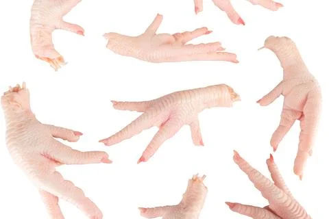 Chicken feet isolated on white background texture fall Stock Photos