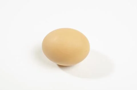 Chicken fresh egg close-up Stock Photos