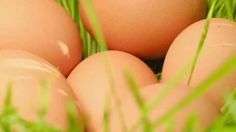 Chicken fresh raw eggs. Chicken egg, rotation shot, Many fresh raw chicken egg Stock Footage 221395903