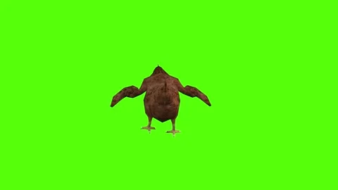 Chicken Getting Hit Green Screen Animation 4k Rendering Stock Footage 296971321
