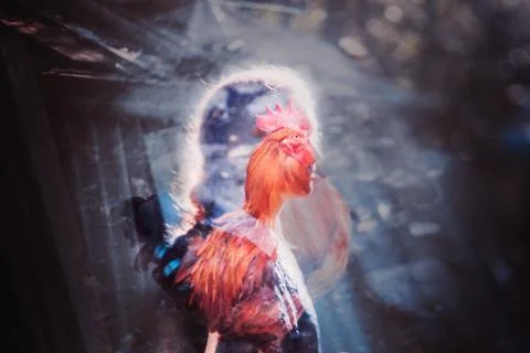 Chicken girl Stock Illustration