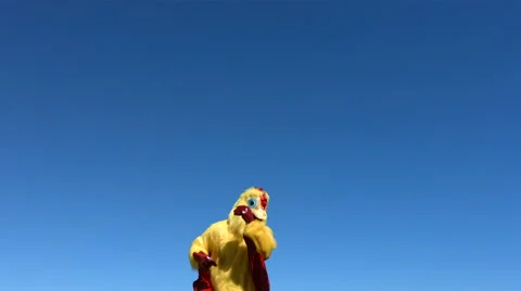 Chicken going crazy in sky, slow motion Stock-Footage 61669561