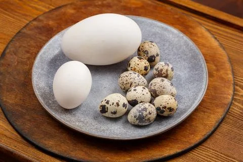 Chicken goose and quail eggs on a gray plate on a wooden table comparison Stock Photos