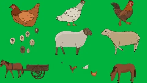 Chicken green background herd sheep screen horse pulling wagon group. Stock Footage 310563383
