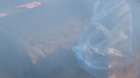 Chicken on the Grill 動画素材 10806134