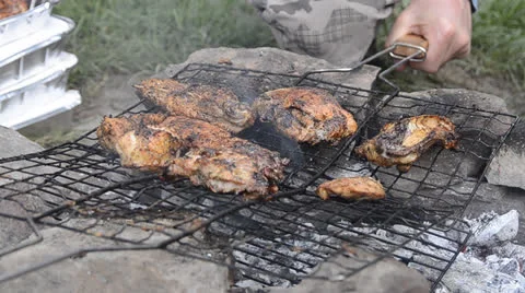 Chicken on the grill Stock Footage 23196358