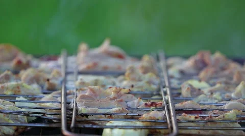 Chicken on the grill Stock Footage 50055741
