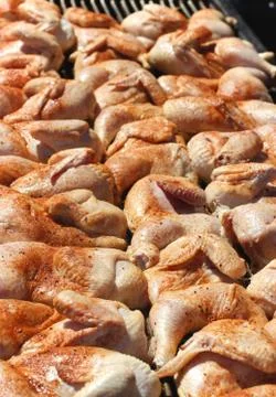 Chicken on Grill Stock Photos