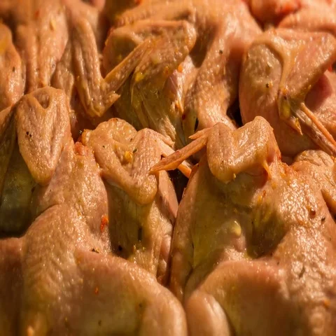 Chicken grilled Stock Footage 69548796