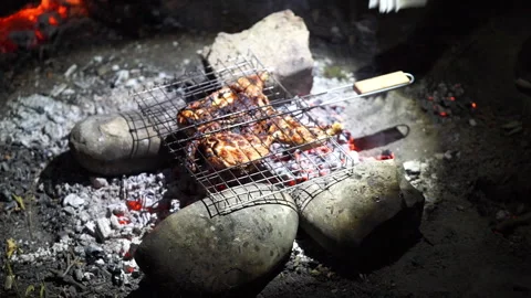 Chicken grilled over a campfire Stock Footage 313283569