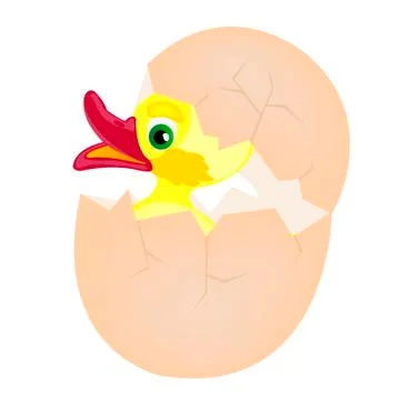 Chicken hatches from egg Stock Illustration