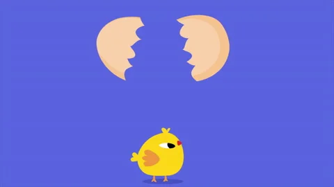 Chicken Hatching From Egg Video stock 232197729