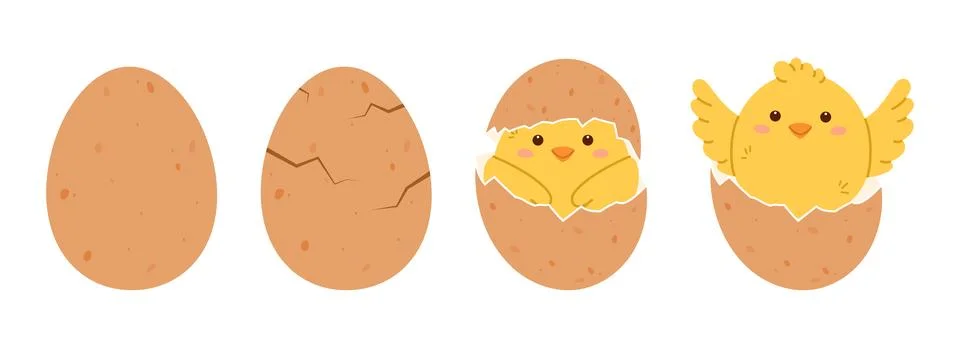 Chicken hatching from egg Stock Illustration