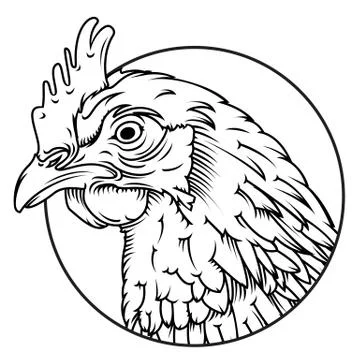 Chicken Head Line drawing Stock Illustration