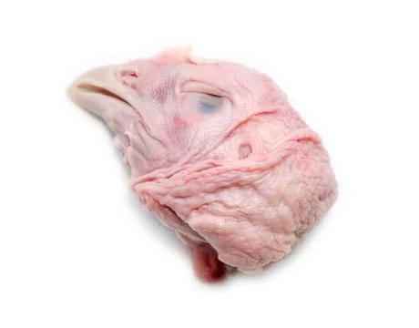 Chicken head. Stock-Fotos