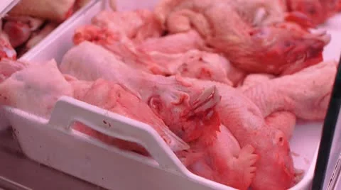 Chicken Heads Stock Footage 8856885