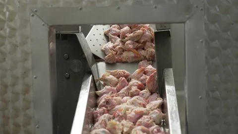 Chicken heads on an iron table, at a meat processing plant, sorting chicken meat Stock Footage 234069743