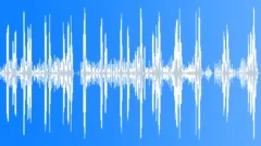 Chicken hen house 02 Sound Effect
