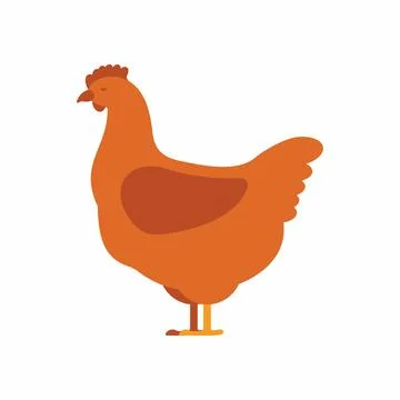 Chicken hen Stock Illustration