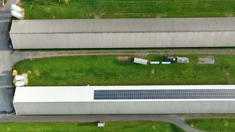Chicken house poultry barn with rooftop solar panels for green renewable Stock Footage 212347825