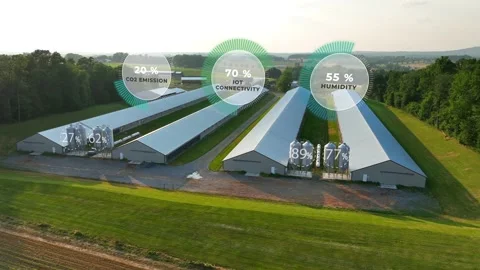 Chicken houses with overlay of data graphics on CO2, humidity, and IoT Stock Footage 267804137