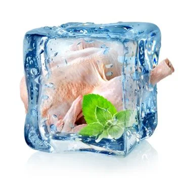 Chicken in ice cube Stock Photos