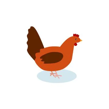 Chicken icon flat style on white background Stock Illustration