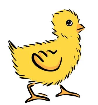 Chicken Stock Illustration