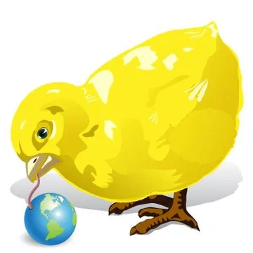 Chicken Stock Illustration