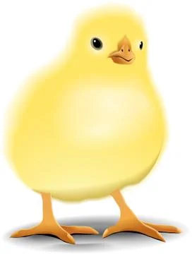 Chicken Stock Illustration