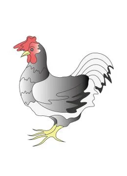 Chicken. Illustrazione stock