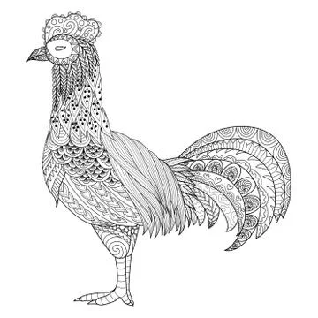 Chicken Stock Illustration