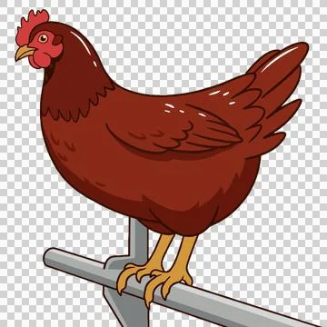 Chicken Illustrazione stock