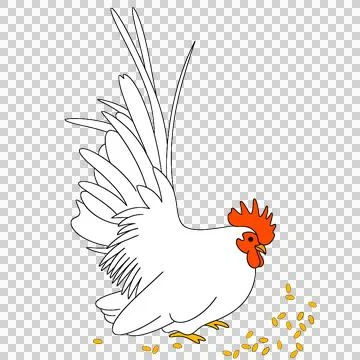Chicken Stock-Illustration